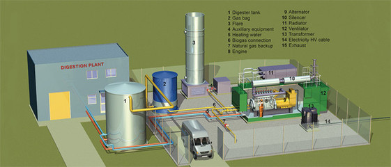 坚信价值 为何英国沼气投资成为稳健回报新选择